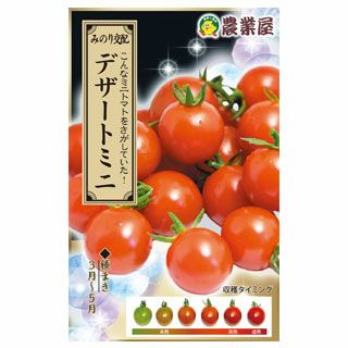 トマト 種 【 ミニトマト デザートミニ 】 小袋 ( トマトの種 ) | 農業