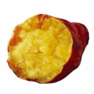 さつまいも苗 【 バイオ 紅アズマ 】 100本 【予約販売 芋づる