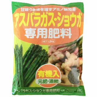しょうが 【 金時生姜 】 生姜種 種芋 700g入り | 農業屋.com
