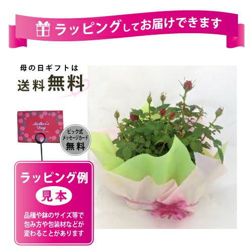 000000022954-02.jpg?size=l&w=