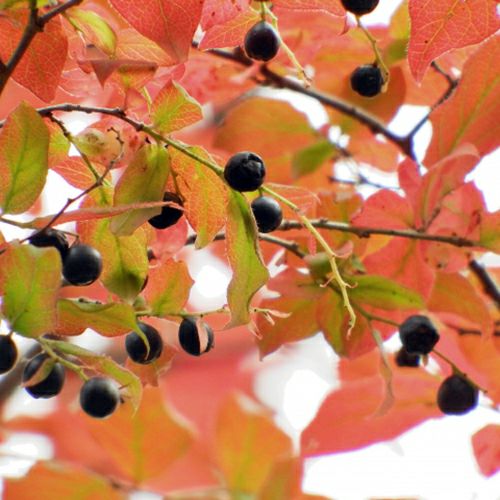 000000023198-01.jpg?size=l&w=