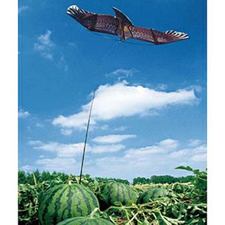 鳥追いカイト鷹 専用部品 埋め込み支柱 約1m×1本 (防鳥具 防獣 鳥対策