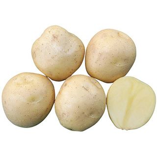 じゃがいも 種芋 【予約】 【 アイマサリ 1kg 入り】 | 農業屋.com