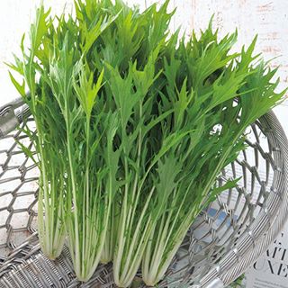 水菜 | 農業屋.com