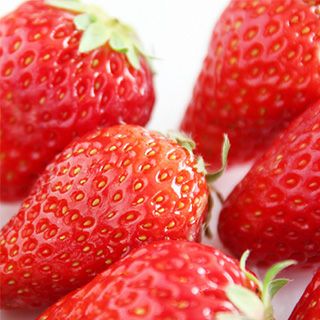 いちご苗 野菜苗 【イチゴ苗 東京おひさまベリー】3号ポット 苺苗 3株