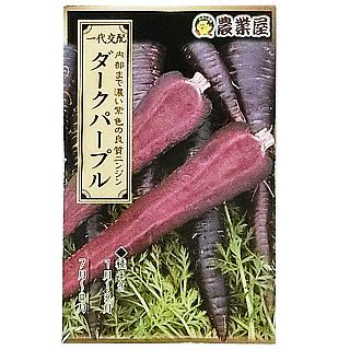 にんじん 種 【 ダークパープル 】 種子 小袋 （ 種 野菜 野菜種子