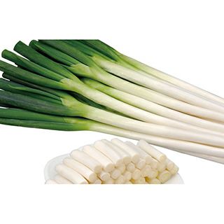 ネギ 種 【 味十八番 】 小袋（5ml） ( ネギの種 ) | 農業屋.com