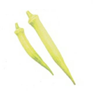 ブロッコリー 種 【 おはよう 】 ペレット5000粒 | 農業屋.com