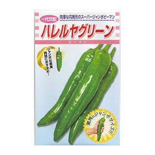 ピーマン 種 【 ハレルヤ グリーン 】 小袋（500粒） ( ピーマンの種