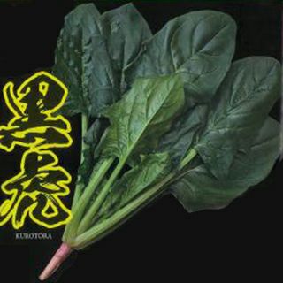 ほうれん草 種 【 黒虎 】 PRM3万粒 ( ほうれん草の種 ) | 農業屋.com