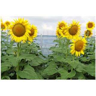 000000023862-01.jpg?size=l&w=