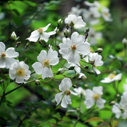 000000023866-01.jpg?size=l&w=