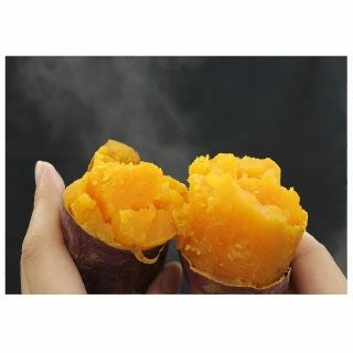 さつまいも苗 【ハロウィンスイート】 25本 【予約販売 芋づる