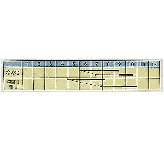  つるありいんげん 種 【 パンダいんげん 】 小袋 