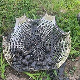 ジャンボタニシ捕獲器 KJー904 たにし 害虫 駆除 | 農業屋.com