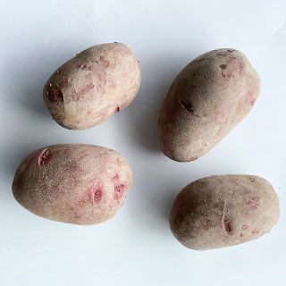 【種芋】ドラゴンレッド じゃがいも種芋５０個　レアな赤皮赤身！ホクホク甘みとコク じゃがいも 種芋 【 ドラゴンレッド 1kg 入り】（登録品種名 西海31号