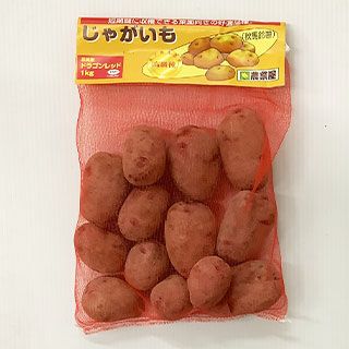 じゃがいも 種芋 【 ドラゴンレッド 1kg 入り】（登録品種名 西海31号