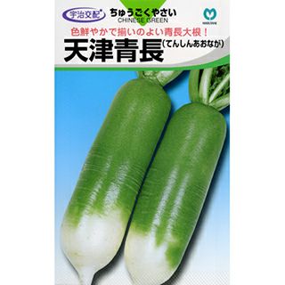 ダイコン 種 【 天津青長 】 20ml ( ダイコンの種 ) | 農業屋.com
