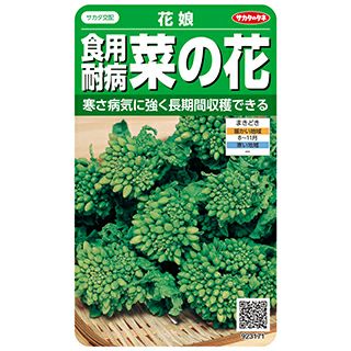 菜の花 種 【 耐病食用菜の花 花娘 】 実咲小袋 ( 菜の花の種 ) | 農業