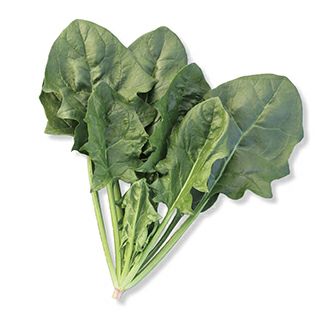 ほうれん草 種 【 フリーウェイ 】 L3万粒 ( ほうれん草の種 ) | 農業