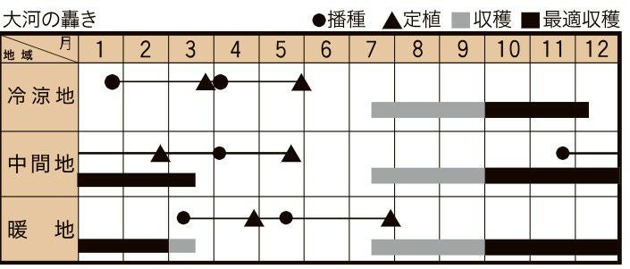 ネギ 種 【 大河の轟き 】 1dl ( ネギの種 ) | 農業屋.com
