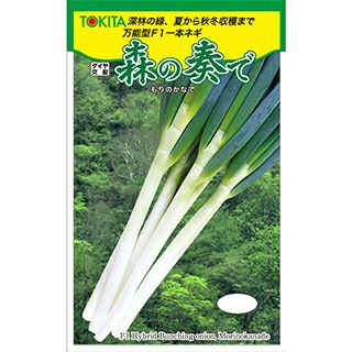 ネギ 種 【 森の奏で 】 1dl ( ネギの種 ) | 農業屋.com