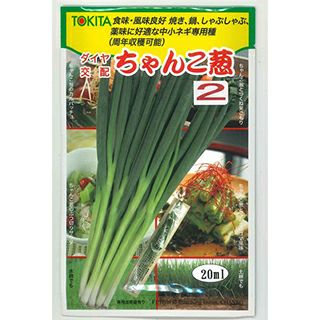 ネギ 種 【 ちゃんこ葱2 】 20ml ( ネギの種 ) | 農業屋.com