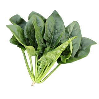 ほうれん草 種 【 ジョーカーX 】 M3万粒 ( ほうれん草の種 ) | 農業屋.com