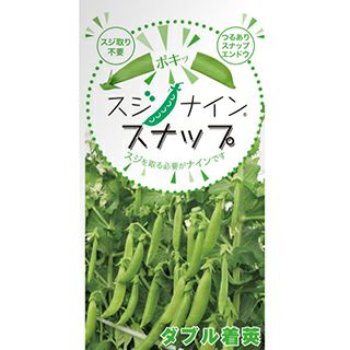 スナップえんどう 種 【 スジナインスナップ 】 200粒 ( スナップえん