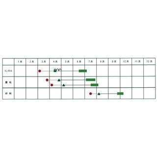 マクワ 種 【 チャメっ娘 】 100粒 ( フルーツマクワウリの種 )