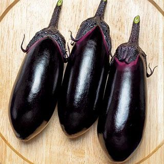 なす | 農業屋.com