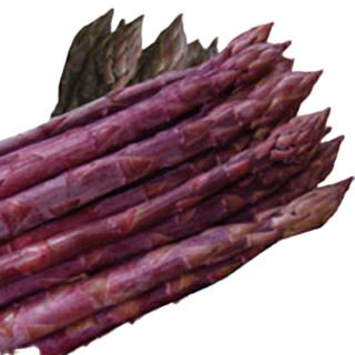 アスパラガス | 農業屋.com