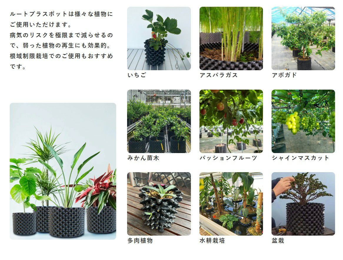 ルートプラスポット 18L 高機能植木鉢 | 農業屋.com