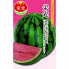 スイカ 種 【 栄光 】 小袋 ( スイカの種 )