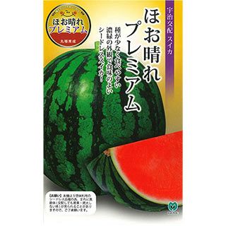 スイカ 種 【 ほお晴れプレミアム 】 小袋 ( スイカの種 ) （シードレス）