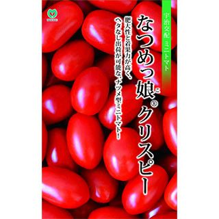 ミニトマト 種 【 なつめっ娘クリスピー 】 100粒 ( トマトの種 )