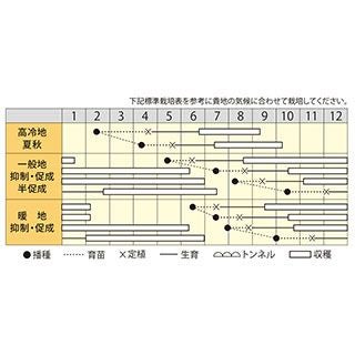 ミニトマト 種 【 なつめっ娘クリスピー 】 100粒 ( トマトの種 )