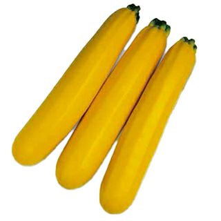 ズッキーニ | 農業屋.com