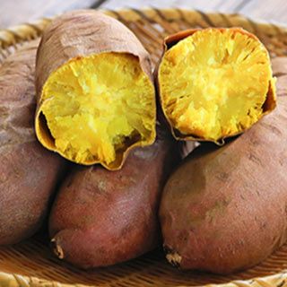 さつまいも苗 【 栗かぐや 通常苗 】10本 【くりかぐや 予約販売