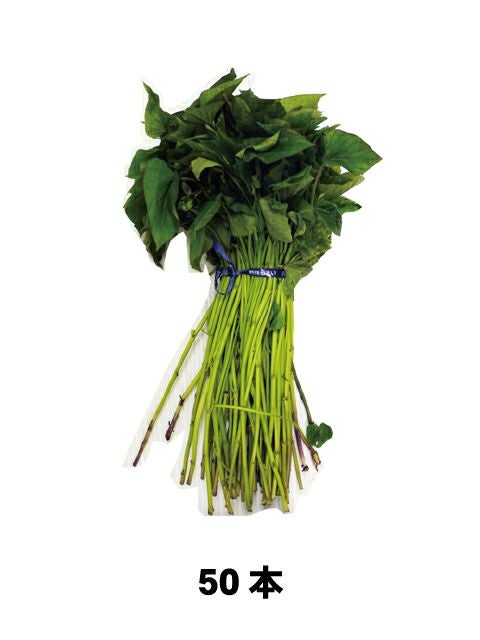 さつまいも苗 【 栗かぐや 通常苗 】50本