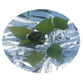 シルバーアルミ反射マルチ 厚み0.02mm×幅95cm×長さ50m 菜園用 | 農業