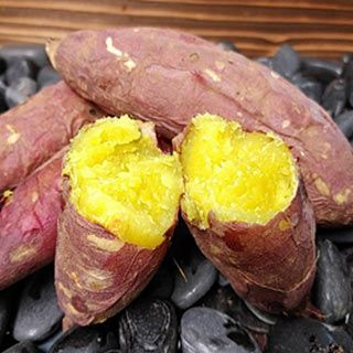 さつまいも苗 【 あまはづき 】25本 【予約販売 芋づる さつまいも 苗