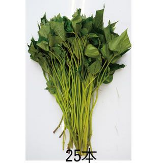 さつまいも苗 【 あまはづき 】25本 【予約販売 芋づる さつまいも 苗】