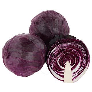 キャベツ苗 レッドブライト 6本セット【予約販売】