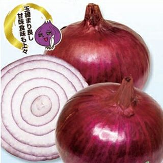 たまねぎ | 農業屋.com