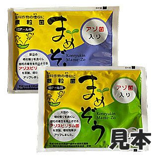 さつまいも苗 【 あまはづき 】25本 【予約販売 芋づる さつまいも 苗