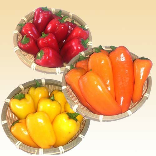 パプリカ | 農業屋.com