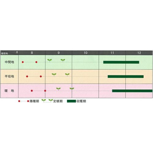 ブロッコリー 種 【 BL－456 】 ペレット5千粒 ( ブロッコリーの