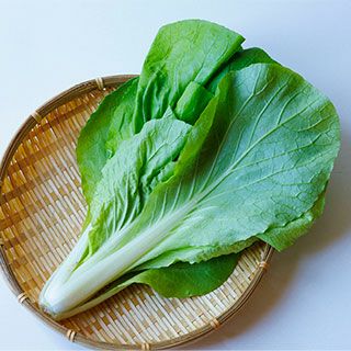 サントウサイ 種 【 灼熱サラダ菜っぱ 】 2dl ( サントウサイの種