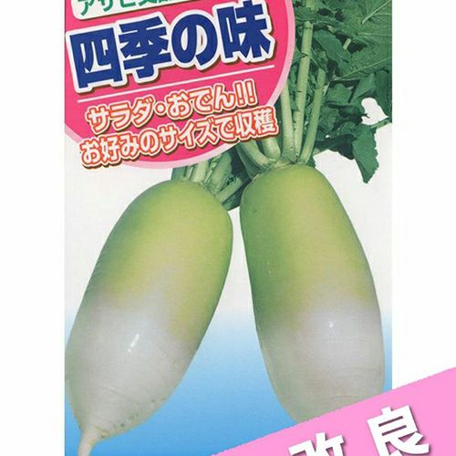 ダイコン 種 【 サラダ大根 改良四季の味 】 小袋（3ml） ( ダイコンの